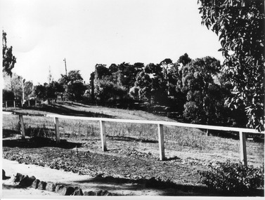 Photograph - Black and white print, E.M. Gibson, Lagoon Paddock, 30 March 1948