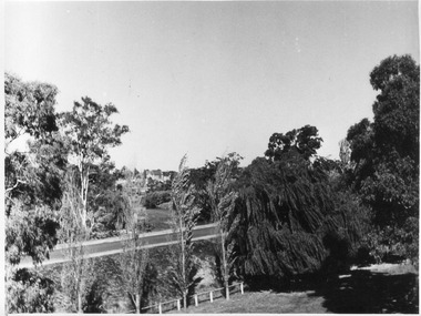 Photograph - Black and white print, E.M. Gibson, Lagoon Paddock, 30 March 1948