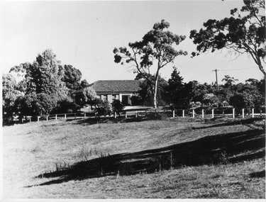 Photograph - Black and white print, E.M. Gibson, Plant Research Institute/Laboratory, 30 March 1948