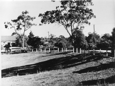 Photograph - Black and white print, E.M. Gibson, Lagoon Paddock, 30 March 1948