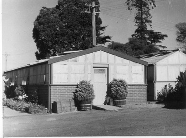 Photograph - Black and white print, E.M. Gibson, Greenhouses, 30 March 1948