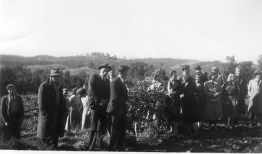 Photograph - Black and white print, E.M. Gibson, July 1948