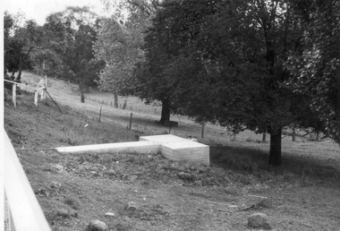 Photograph - Black and white print, E.M. Gibson, Lagoon Paddock, Late 1940s