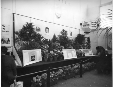 Photograph - Black and white print, Open Day Display, 1952