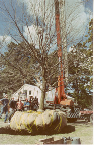 Photograph - Colour print, Moving Elm Tree, 1992-1993