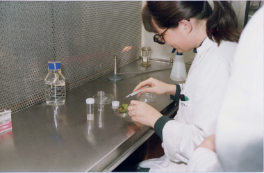 Photograph - Colour print, Laboratory Display, Unknown