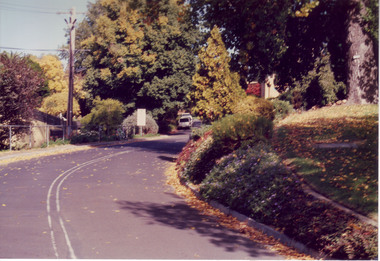 Album - Colour print, Poplar, c. 1985