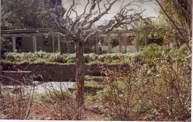 Album - Colour prints and negatives, Garden Views, etc, c. 1991