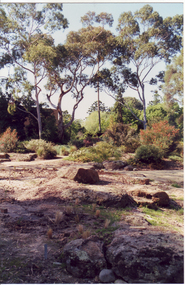 Album - Colour print, Native Garden, c. 1991