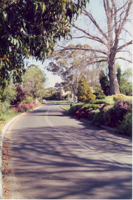Album - Colour print, Views of Burnley Gardens, 1988-1990