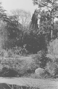 Photograph - Black and white prints and negatives, Garden Views and Staff, Unknown