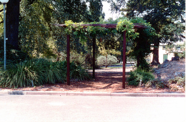 Photograph - Colour print, Friends of Burnley Gardens, Wisteria Arbour, 2003