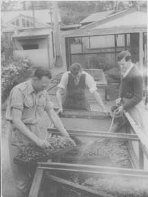 Photograph - Black and white print, C.R.T.S. Trainees in Nursery, 1947