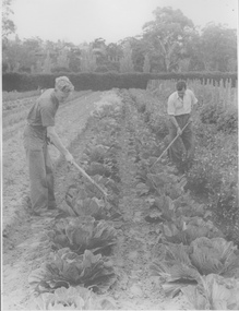 Photograph - Black and white print, In Vegetable garden, 1947
