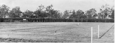 Photograph - Black and white print, Plum Block and Cherry Block, 1918