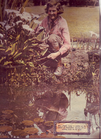 Photograph - Colour photocopy, The Australasian, Miss Phyllis Laing