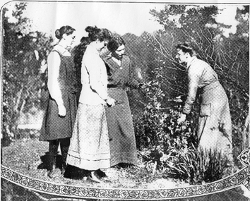 Photograph - Black and white photocopy, The Australasian, Horticultural Education Classes for Women at Burnley Gardens, 1916