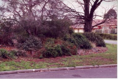 Photograph - Colour print, Ellis Stones Rockery Refurbishment, 1999-2000