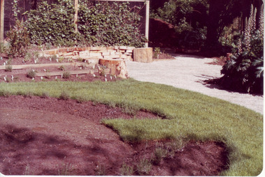 Photograph - Colour print, Herb Garden, 1983