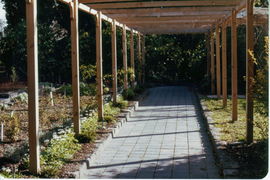 Photograph - Colour print, Sunken Garden, c. 1983