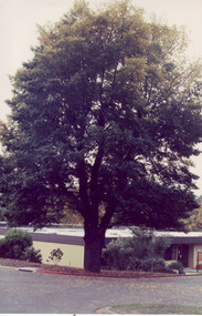 Photograph - Colour print, Burnley Library, Unknown