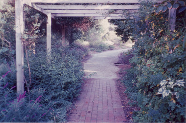 Photograph - Colour print, Stuart Miller, Native Garden and Plant Trials, 1990-2005