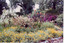 The University of Melbourne