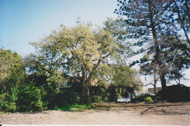 Album, Sandra Pullman, National Estate/Heritage Register Photographs, 2001