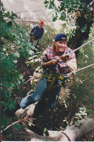 Photograph - Colour print, Arboriculture, Unknown