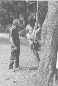 Photograph, Publicity Branch Victorian Department of Agriculture, Arboriculture