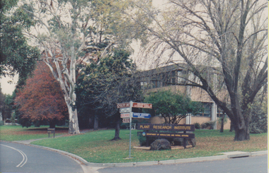 Photograph - Colour prints, Plant Research Institute, Unknown