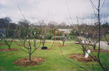 Photograph - Colour print, Pruning Demonstration Day, 2000