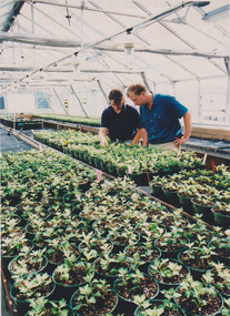 Photograph - Colour print, Fujifilm, Nursery, Unknown