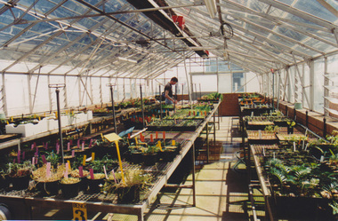 Photograph - Colour print, AGFA, Nursery, Unknown