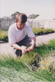 Photograph - Colour print, John Delpratt and Grassland Plants, Unknown
