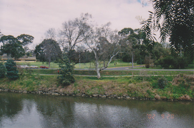 Photograph - Colour print, Konica, Lagoon or Boulevard Paddock, Unknown