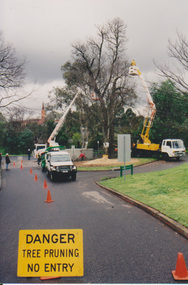 Photograph - Colour print, Tree Pruning, Unknown
