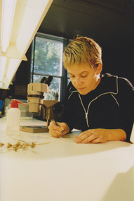 Photograph - Colour print, AGFA, Students in Class, 1998