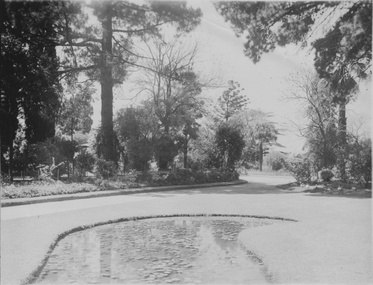 Photograph - Black and white print, Garden View, Unknown