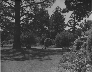 Photograph - Black and white print, Children Beside the Luffmann Ponds, 1950s-1960s