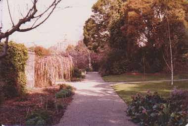 Photograph - Colour prints, Garden Views, 1983-1986