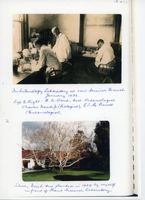 Photograph - Sepia and black and white photocopies, The Fruit World of Australasia, Charles French Jnr, 1929-1933