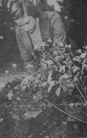 Photograph - Black and white photocopy, The Argus, Jane Ogden, 1953