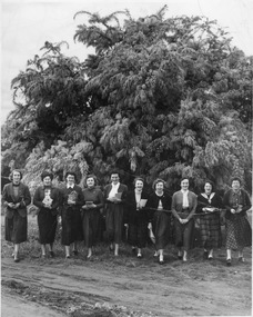 Photograph - Black and white print, The Age, Group of Women, Unknown