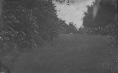 Photograph - Black and white print, Eric Brown, Lawn, 1917