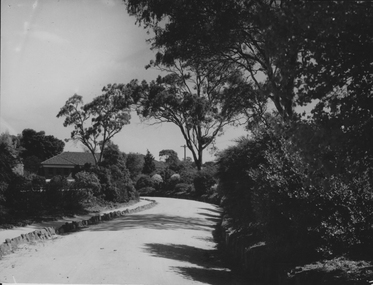 Photograph - Black and white print, Plant Research Laboratory, 1941