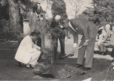 Photograph - Black and white print, Photographic Unit Media Services Branch Victorian Department of Agriculture, Tree Planting, 1950's