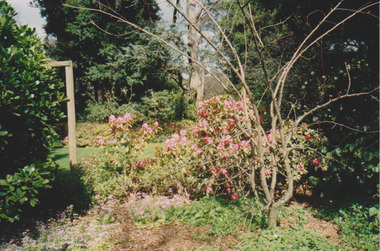 Photograph - Colour print, Garden  View, Unknown