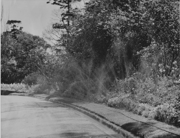 Photograph - Black and white print, Sprinkler System
