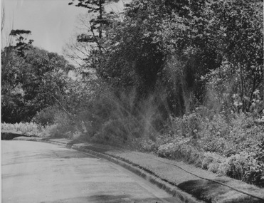 Photograph - Black and white print, Sprinkler System, Unknown